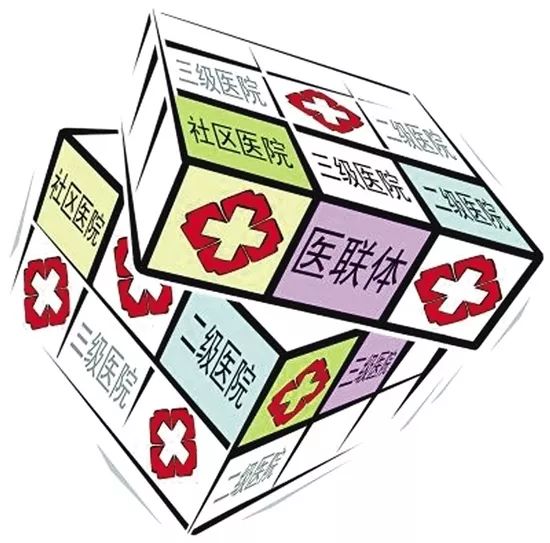澳门管家婆100%精准2025年 新奥门开奖结果历史：定量作答、落实解释 安卓市场下载安装