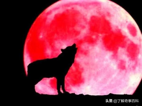 香港正版蓝月亮资料论坛 图文资讯天空彩天下彩最新版亮点 全面作答、落实解释 ios版本下载