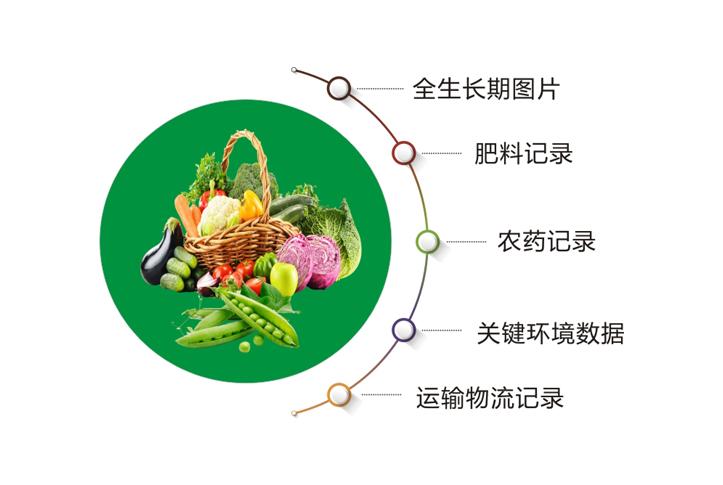 游客!2025年全年資料免費大全-管家婆一码一肖大全_未来将如何改变我们的生活;一觅即得的答案、实证解释落实