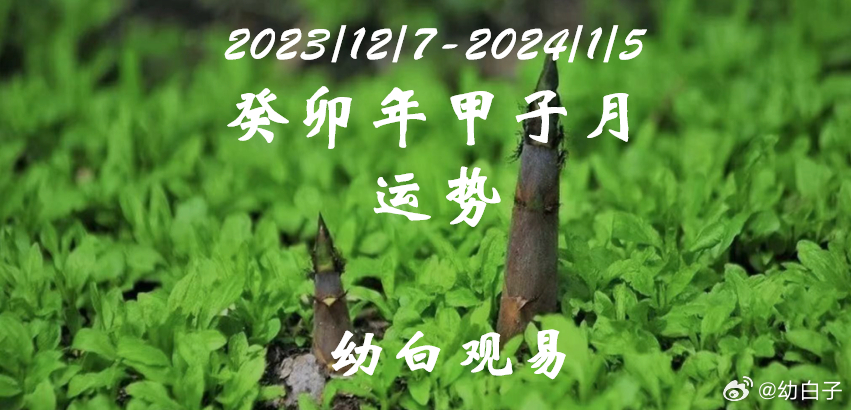 探索!管家婆一三肖必中特,管家婆三期必开一期精准_具有划时代意义的计划;这对未来带来了什么、详细解释落实