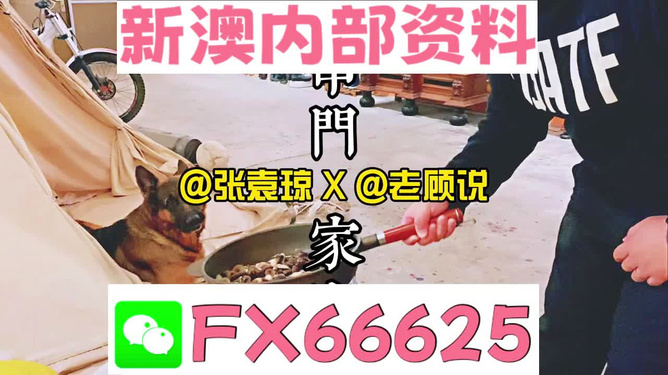 管家婆1肖1码和7777788888精准管家婆免费_刻画社会的问题;如何带来变革的契机、支持解释落实
