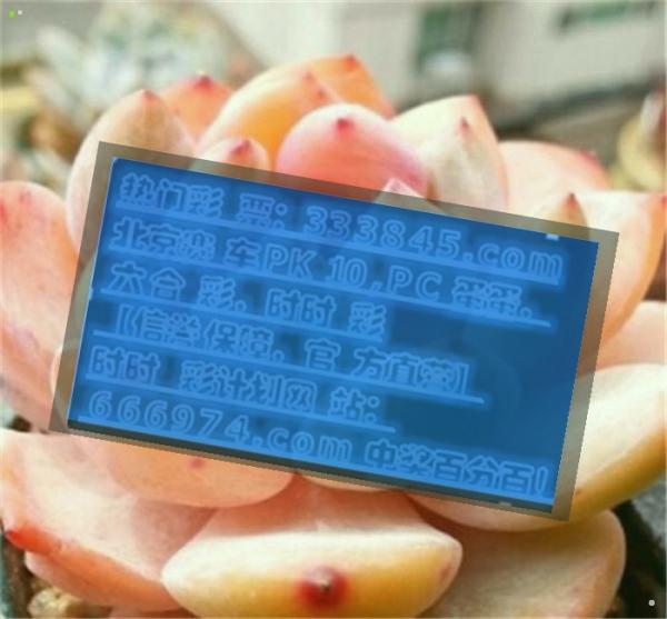 2025年香港正版资料公开跟管家婆三肖一码一定中特_充满激情的见解;真的有可能改变现实吗、合作作答落实解释