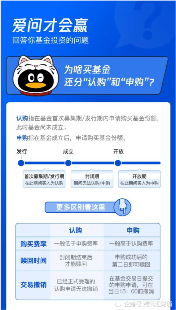 关于申购基金的深度解析 关于申购基金的说法