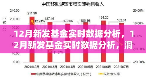 新基金发行查询与全球市场动态分析 新基金发行查询