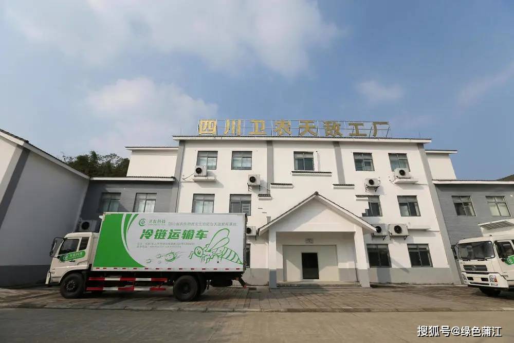 顺昌县林业基金中心，绿色发展的坚实支柱 顺昌县林业基金中心