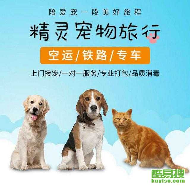 宠物托运保险，安全与保障的双重选择 宠物托运保险靠谱