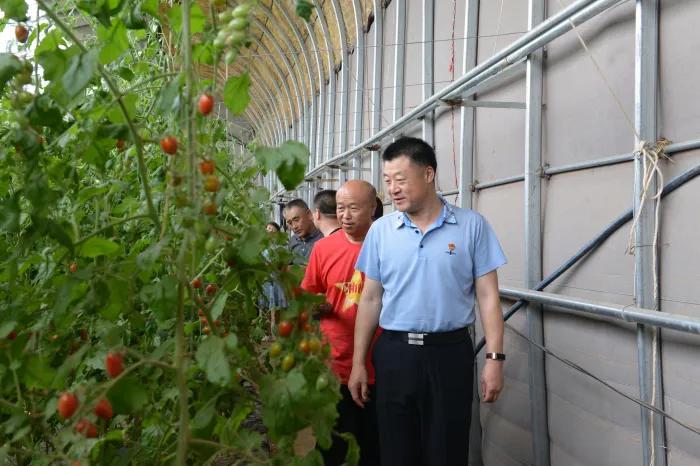 青岛华夏保险公司理财，稳健投资，共创财富未来 青岛华夏保险公司理财