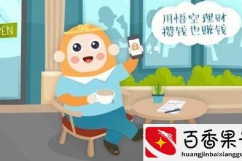 悟空理财公司，市场中的新星与挑战 悟空理财公司怎么样