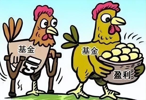 全球基金排名与每日财经动态分析 每日财经全球基金排名