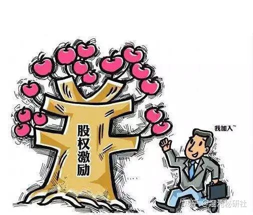 理财师抱团入股的背后逻辑与价值 理财师为什么要抱团入股