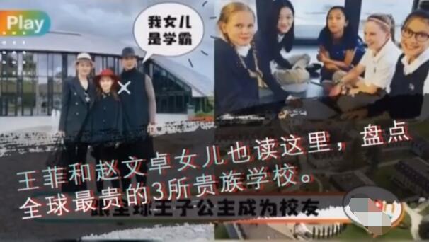 赵文卓的理财之路 赵文卓参与理财
