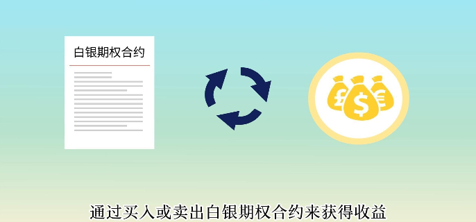 白银基金期货，市场动态与投资策略分析 白银基金期货