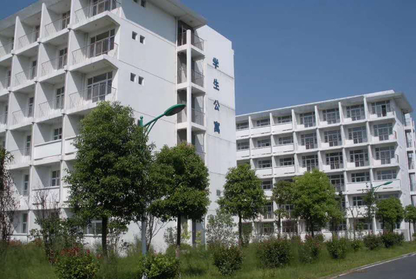合肥体育学校的地理位置及其重要性 合肥体育学校在哪