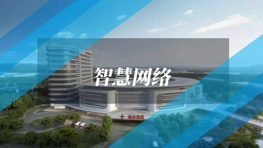 理财之路，273天的智慧与策略 理财273天