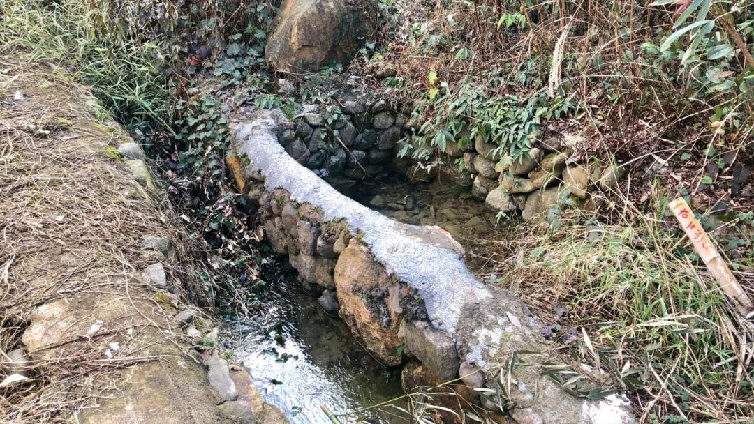 金牛宝2号，理财新选择与市场动态分析 金牛宝2号是理财吗