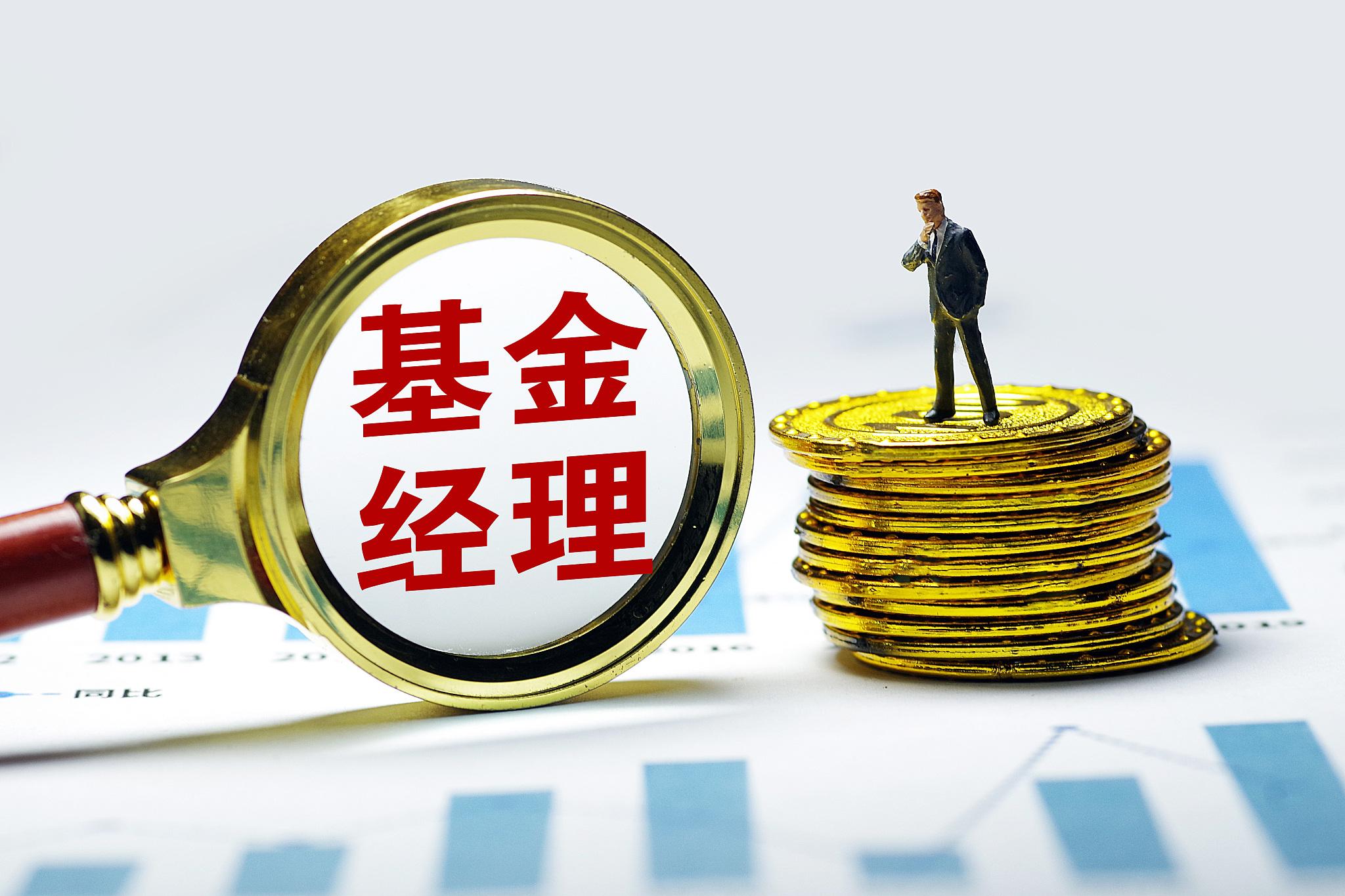 老牌易方达基金净值解析与市场动态观察 老牌易方达基金净值查询