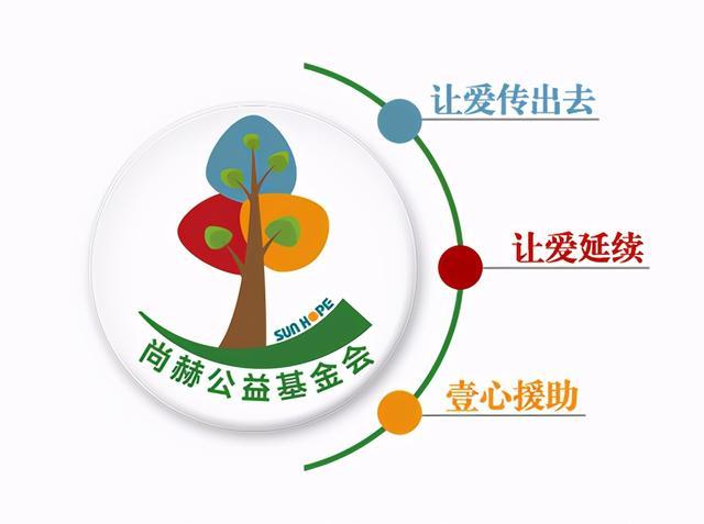 慈善基金会方案，构建社会公益新格局 慈善基金会方案