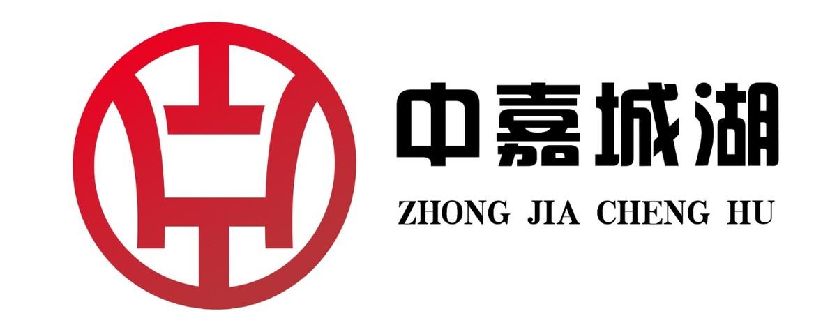 理财顾问履历，从专业到卓越的成长之路 理财顾问履历