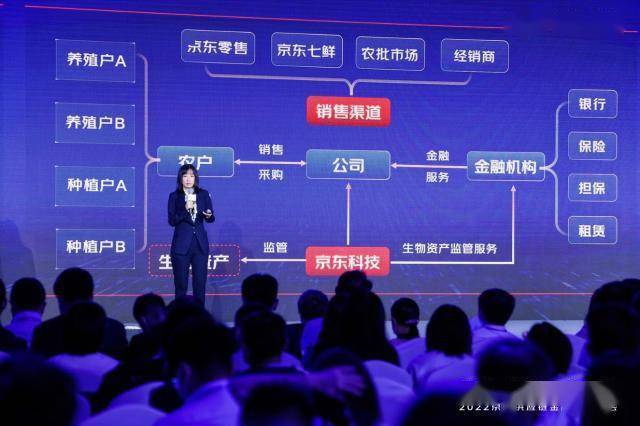 京东理财抵押，金融科技与现代经济的新篇章 京东理财抵押