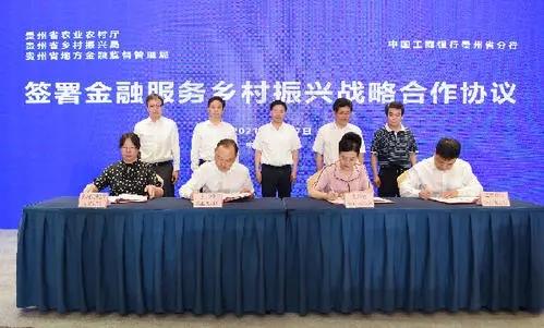 银行政府携手助力乡村振兴基金，推动农村经济发展新篇章 银行政府乡村振兴基金
