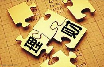 项目理财小组，策略、挑战与未来 项目理财小组