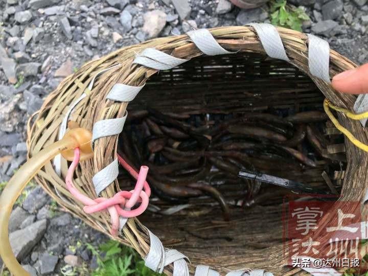宁银理财办公地址详解及其与全球金融环境的互动 宁银理财办公地址在哪里