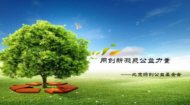 环保公益基金，推动绿色发展的新动力 环保公益基金
