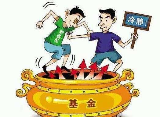 基金持有收益与稳定收益的深度解析 基金持有收益和稳定收益