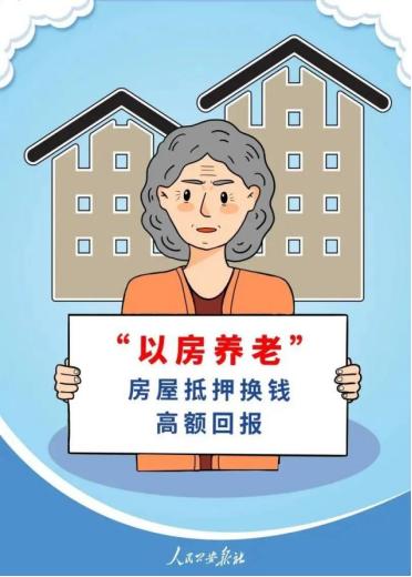 小王理财公司，金融市场的稳健之选 小王理财公司