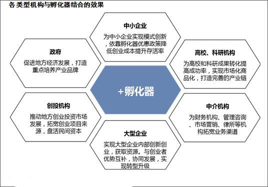 创投企业孵化基金，推动创新与创业的强大引擎 创投企业孵化基金